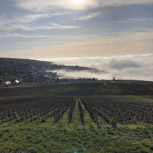 From Paris: Reims and Champagne Tasting Full-Day Tour - A three-course lunch in Épernay