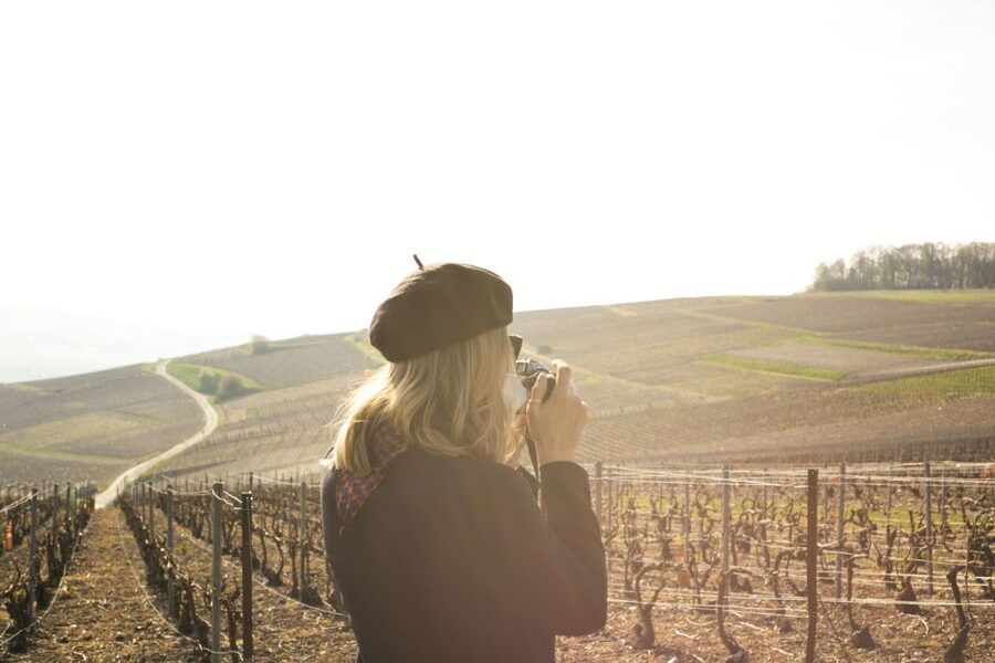 From Paris: Reims and Champagne Tasting Full-Day Tour - Reims Cathedral and the story of French royalty