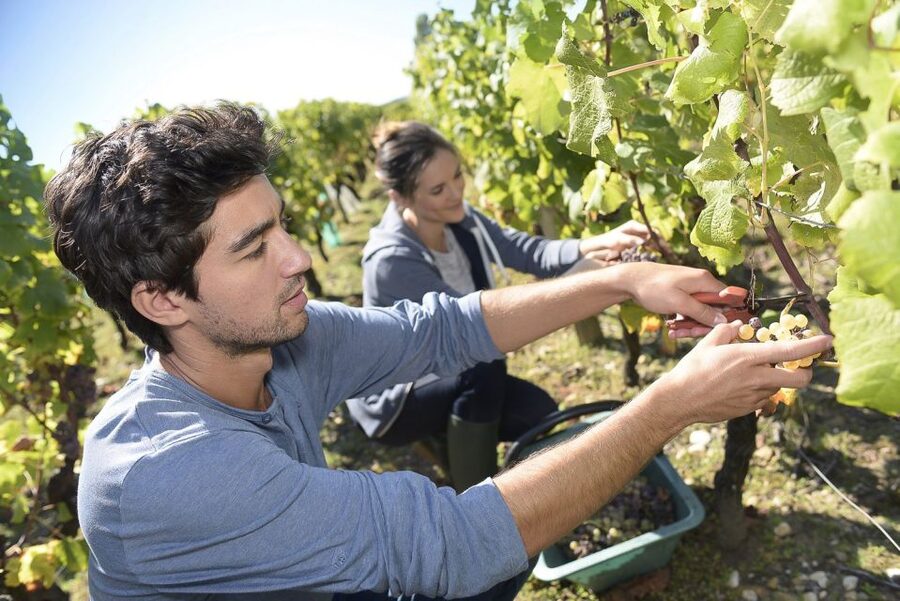 From Paris: Small-Group Champagne Day Trip with Six Tastings - Épernay gives you lunch and a change of scene