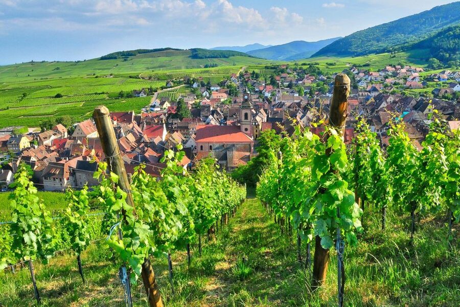 From Paris: Small-Group Champagne Day Trip with Six Tastings - Is the $271 price fair?
