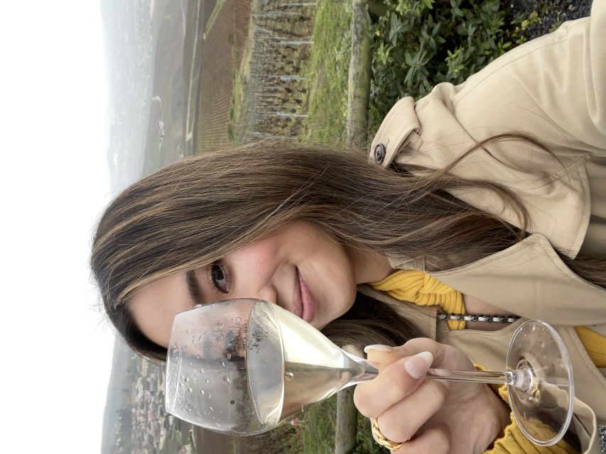 From Paris: Small-Group Champagne Tour with 3-Course Lunch - A three-course lunch with French regional flavor
