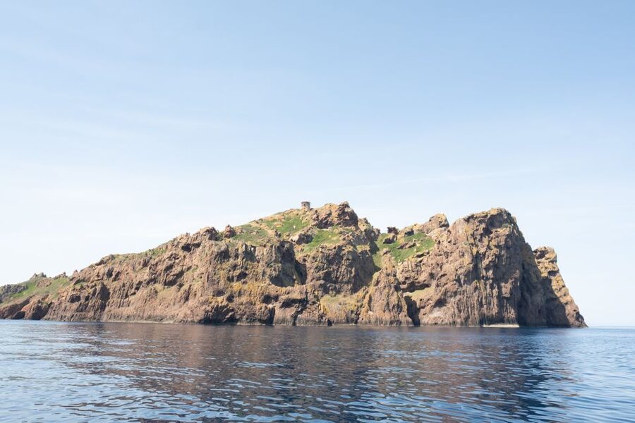 From Porto: Piana Creeks and Scandola Semi-Rigid Boat Tour - Practical ways to prepare