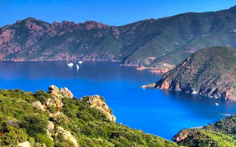 From Porto: Piana Creeks and Scandola Semi-Rigid Boat Tour - Why Piana’s creeks are best seen from the water