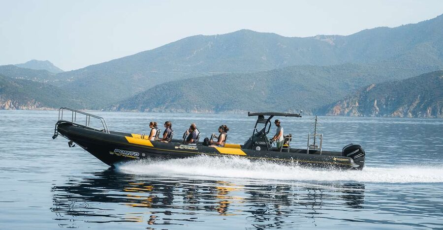 From Porto: Piana Creeks and Scandola Semi-Rigid Boat Tour - Scandola Nature Reserve and its protected coast