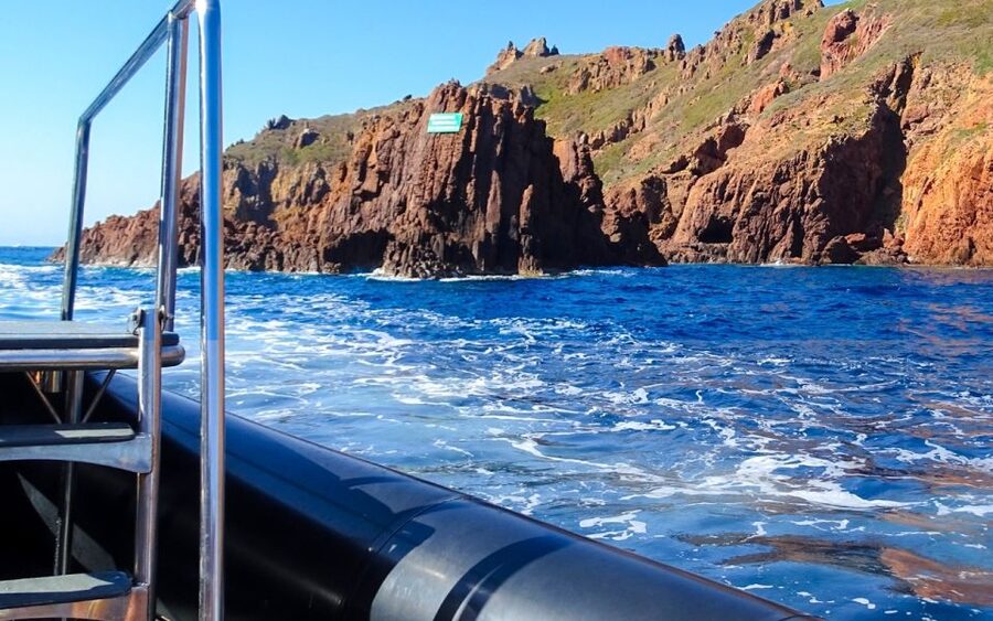 From Porto: Piana Creeks and Scandola Semi-Rigid Boat Tour - What the guide adds to the ride