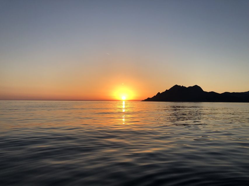 From Porto: Piana Creeks and Scandola Semi-Rigid Boat Tour - Porto’s gulf sets the scene