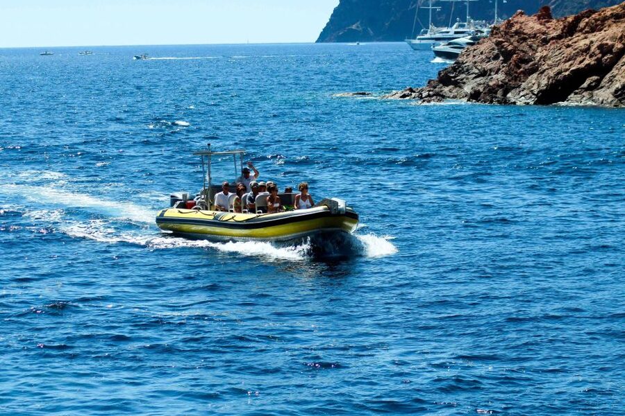 From Porto: Scandola and Calanche de Piana Boat Tour - Is $82 a fair price?