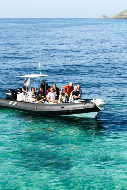 From Porto: Scandola and Calanche de Piana Boat Tour - The Gulf of Porto gives you your first coastal views