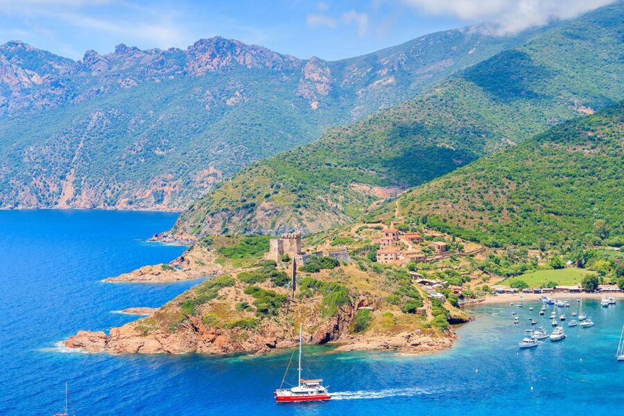 From Porto: Scandola & Girolata Tour by Boat - Scandola’s red cliffs, coves, and birdlife