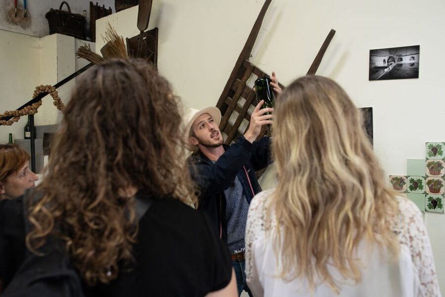 From Reims: Champagne and Family-Run Wineries Tour - What the guide adds to the experience