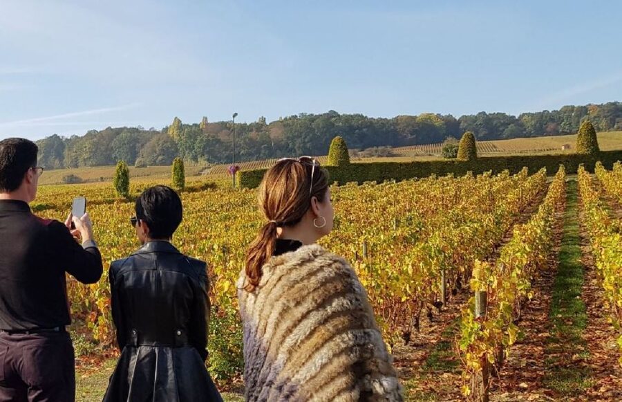 From Reims: Champagne Day Trip to 3 Family Domains & Lunch - Épernay and the Avenue de Champagne