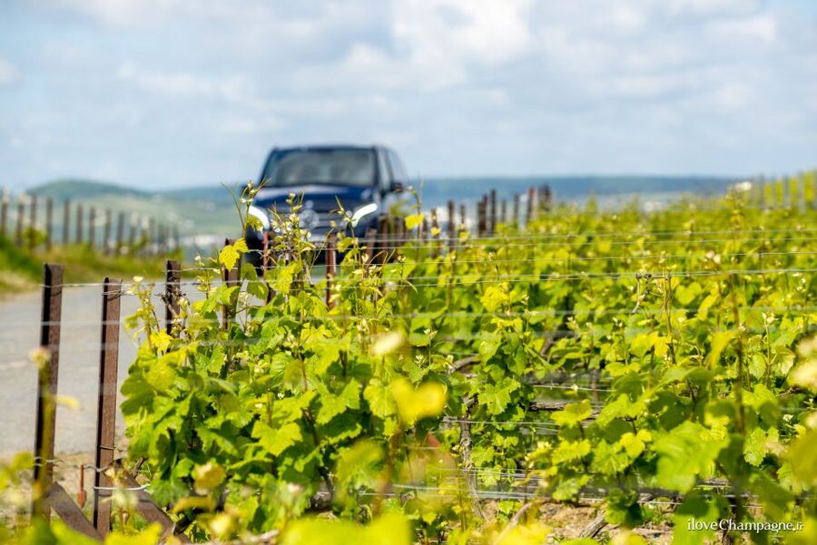 From Reims: Morning Champagne Tour and Tastings - A useful introduction to Champagne, not just a tasting