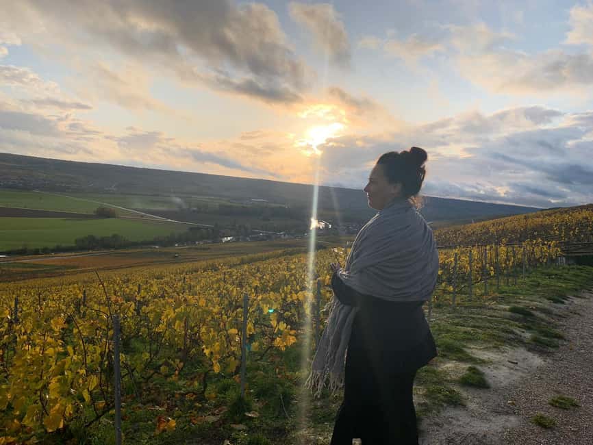 From Reims: Morning Champagne Tour and Tastings - The first producer: a full look at the craft