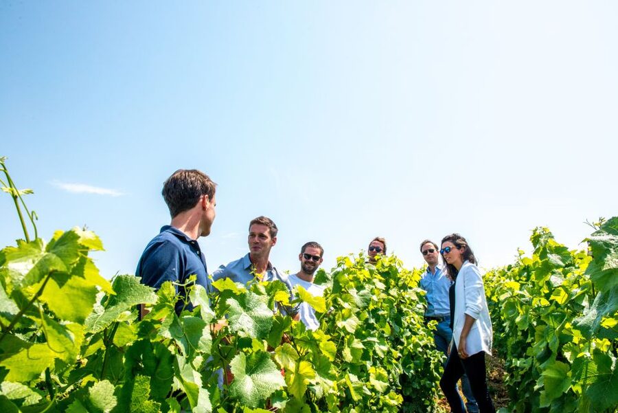 From Reims: Morning Champagne Tour and Tastings - Tips for getting the most from the morning