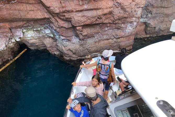 From Sagone/Cargèse: Scandola Calanques Piana Girolata Swimming - English commentary and what to expect