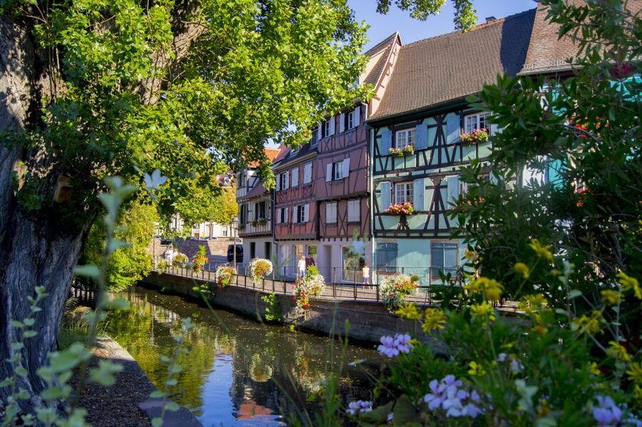 From Strasbourg: Best Of Alsace Historical Day Trip - Haut-Koenigsbourg Castle and its wide views