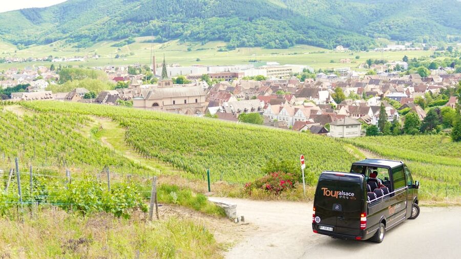 From Strasbourg: Medieval Villages & Wine Tasting Day Trip - The local winery puts the wine route into context