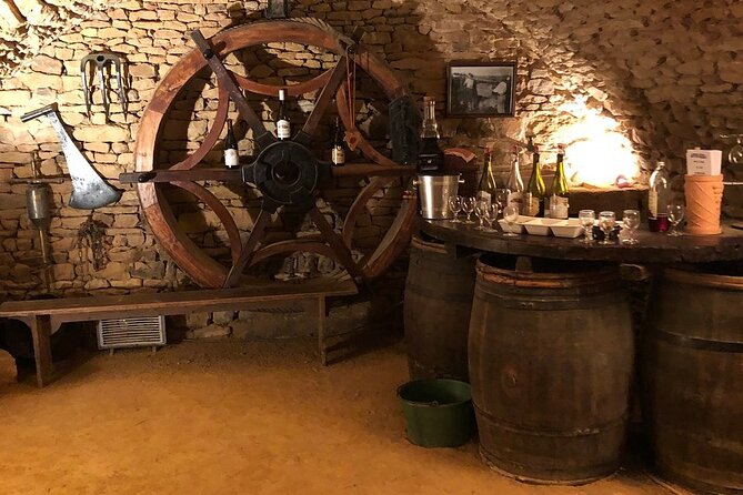 Golden stones Beaujolais Wine Tour with Tastings from Lyon - What the wine tasting is really like