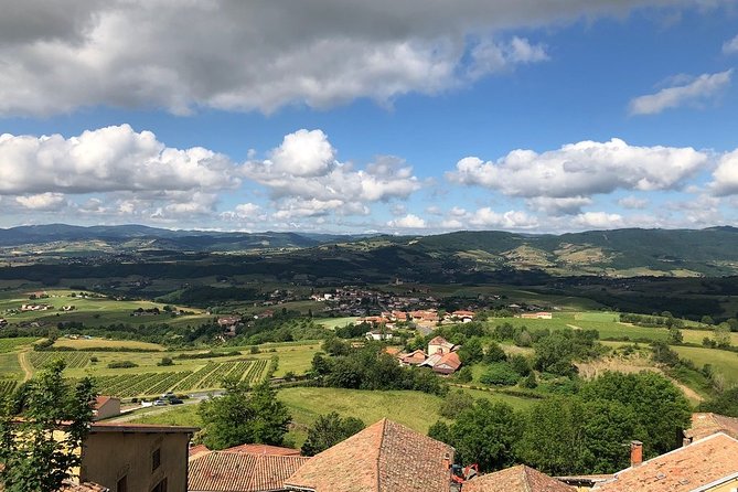 Golden stones Beaujolais Wine Tour with Tastings from Lyon - Is $119.77 a fair price?
