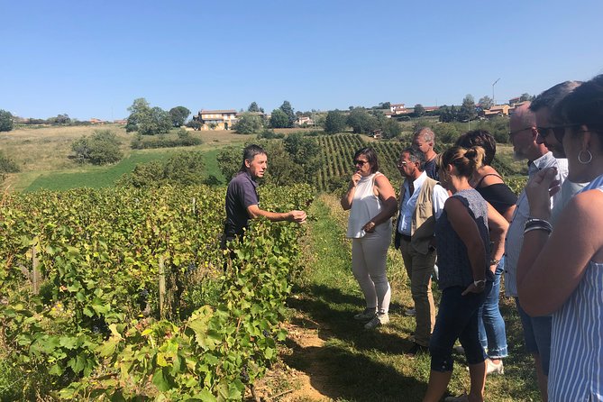 Golden stones Beaujolais Wine Tour with Tastings from Lyon - Oingt, a medieval village in warm stone