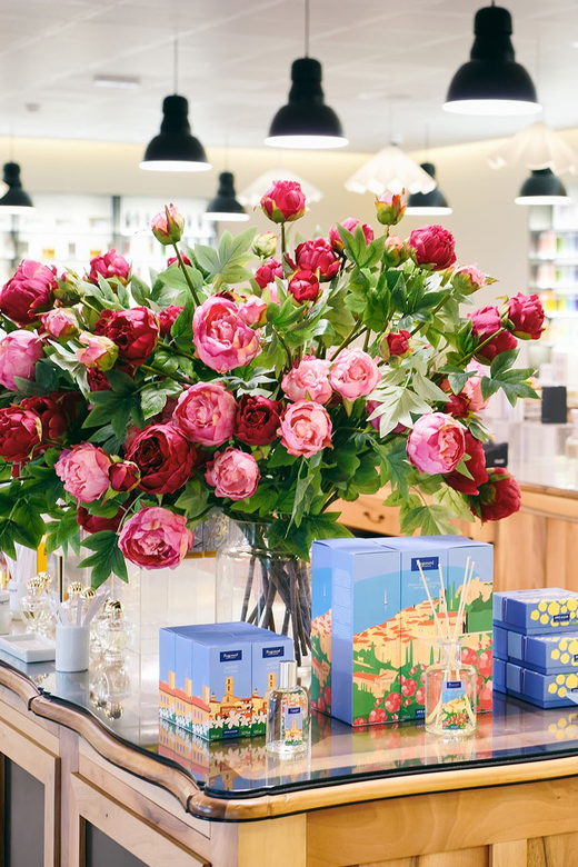 Grasse: Perfume Making Class and Fragonard Factory Tour - Who should book this activity?