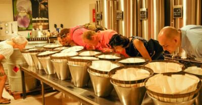 Grasse, Valbonne & Gourdon: Day Tour with Wine Tasting