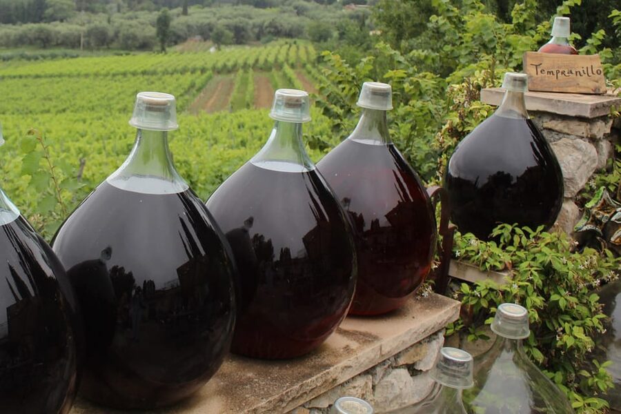 Grasse, Valbonne & Gourdon: Day Tour with Wine Tasting - The Bellet vineyards above Nice