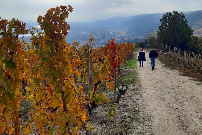 Guided tour and wine tasting Northern Rhône Valley - Quick reasons to choose this Rhône Valley tour