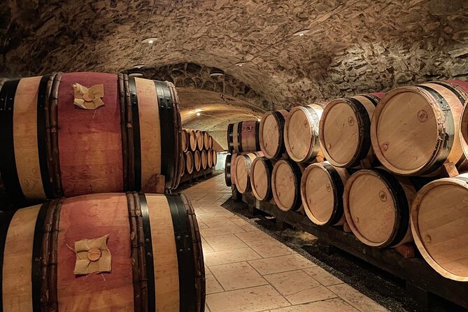 Guided tour and wine tasting Northern Rhône Valley - Chavanay brings the first tasting