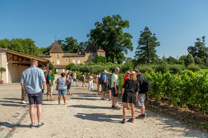 Half-Day Wine tour across Bordeaux’s Vineyards - Key points before you book
