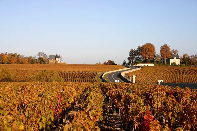 Half-Day Wine tour across Bordeaux’s Vineyards - A local château and the practical side of tasting