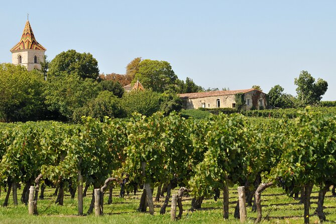 Half-Day Wine tour across Bordeaux’s Vineyards - The two-language, large-group issue