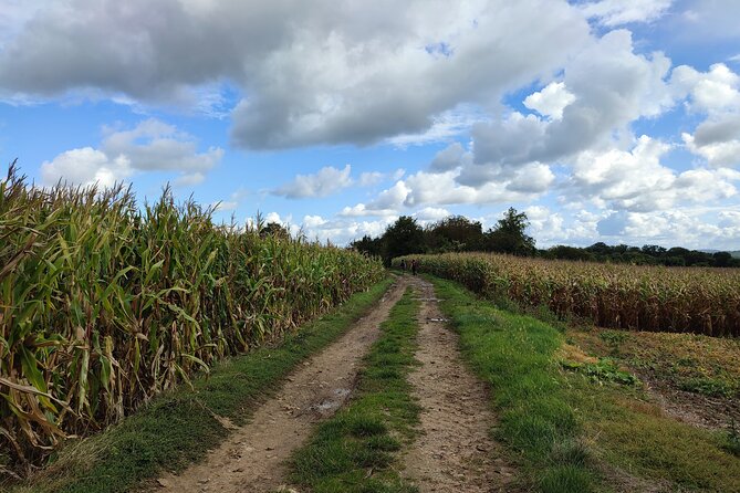 Hiking Adventure in Van Gogh's Footsteps with 6 miles walk - Victor’s guiding style and the group size