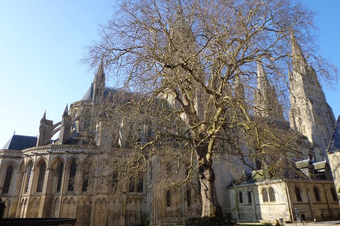 Historic Bayeux Daily Group City Tour In English 2 hrs (Apr-Sept) - The Liberty Tree and the French Revolution
