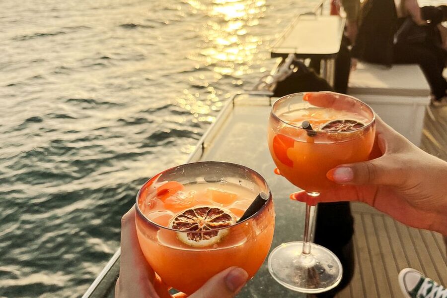 La Grande Motte: Camargue Sunset Catamaran Tour with a Drink - Sunset over the water