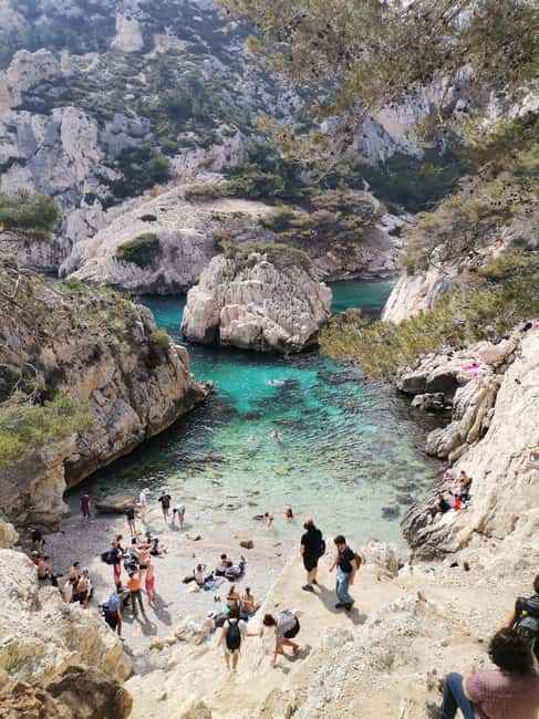 Marseille: Calanques National Park Guided Hike with Picnic - What the guide adds to the walk