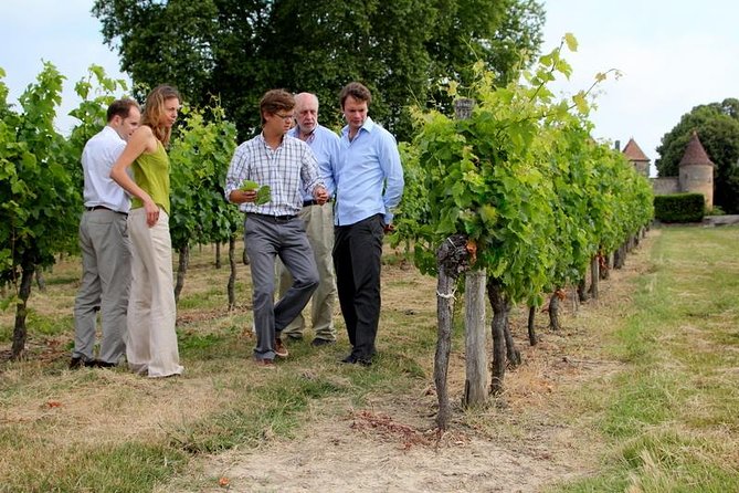 Medoc or Saint Emilion Wine Tasting and Chateau from Bordeaux - Leaving Bordeaux at 2 p.m.