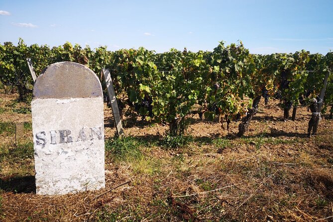 Medoc Region Wine Day Trip with Vineyard Visits & Tastings from Bordeaux - The final château completes the three-stop format