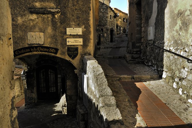 Monaco, Monte Carlo, Eze, La Turbie 7H Shared Tour from Nice - The small-group van and guiding style
