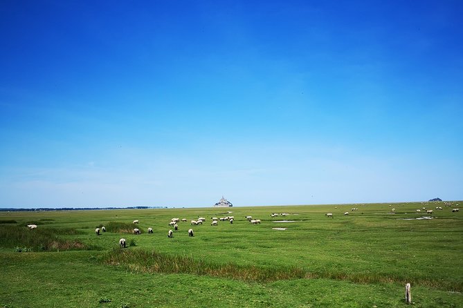 Mont Saint-Michel Day Trip from Bayeux (Shared tour) - Who Will Enjoy This Tour Most?