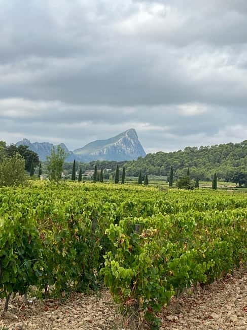 Montpellier: Pic Saint-Loup Wine Tour - Leaving Montpellier for Pic Saint-Loup