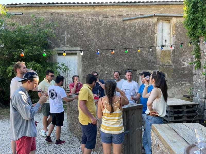 Montpellier: Pic Saint-Loup Wine Tour - Price, timing, and practical value