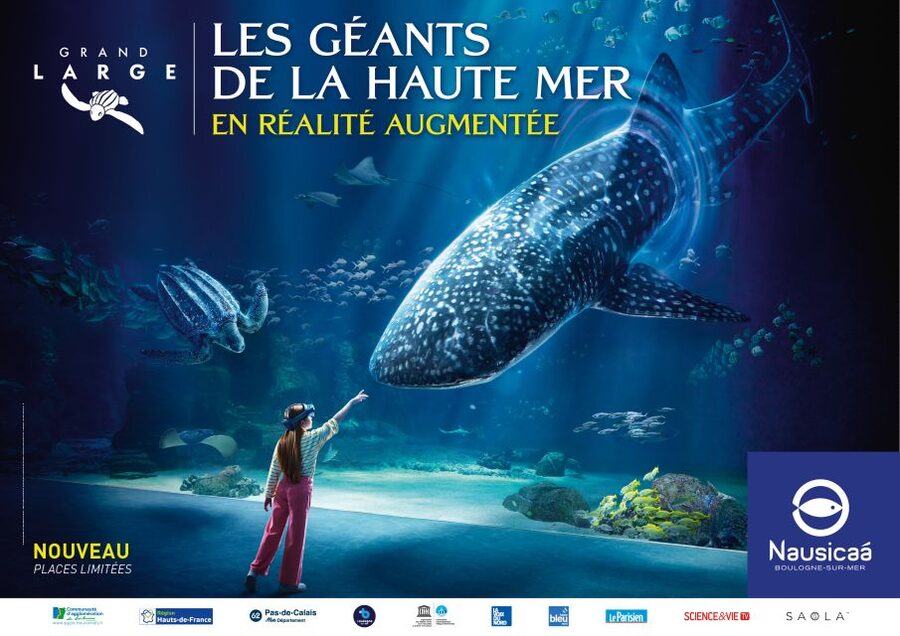 Nausicaá National Sea Center: Full-Day Entry Ticket - Why Nausicaá feels bigger than a normal aquarium