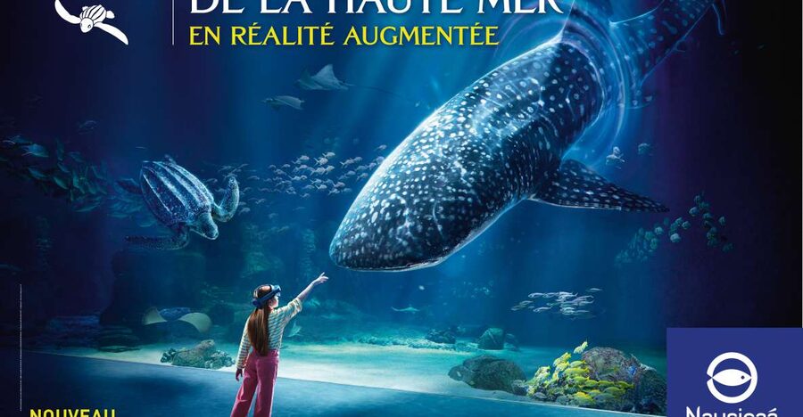 Nausicaá National Sea Center: Full-Day Entry Ticket - Sea lions, penguins, and scheduled activities