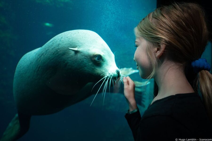 Nausicaá National Sea Center: Full-Day Entry Ticket - Finding your way through the building