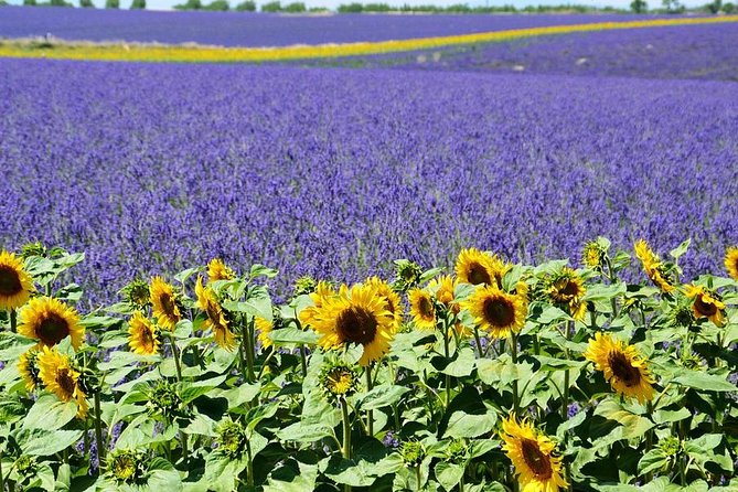 Nice: Gorges of Verdon and Fields of Lavender Tour - Moustiers-Sainte-Marie and lunch under the cliffs