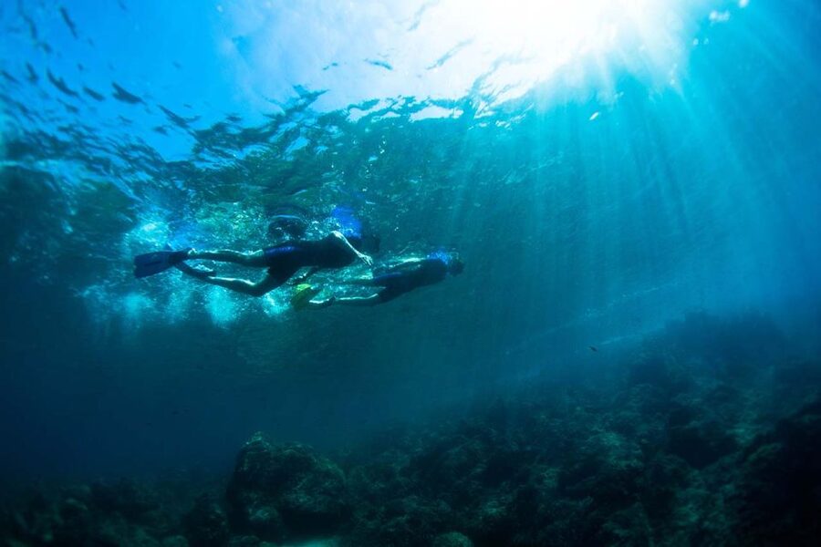 Nice: Snorkeling Speedboat Tour in Villefranche Bay - Should you book the Villefranche Bay snorkeling tour?