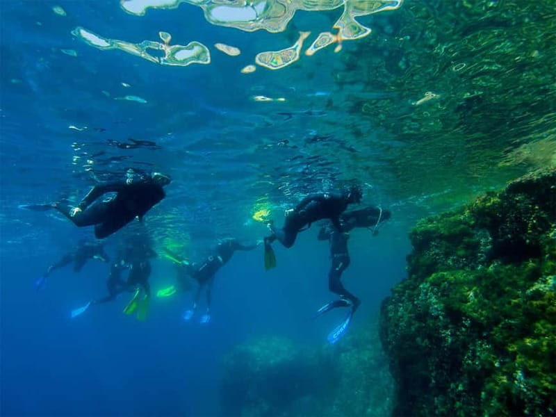 Nice: Snorkeling Speedboat Tour in Villefranche Bay - From Nice harbor to Villefranche Bay by speedboat