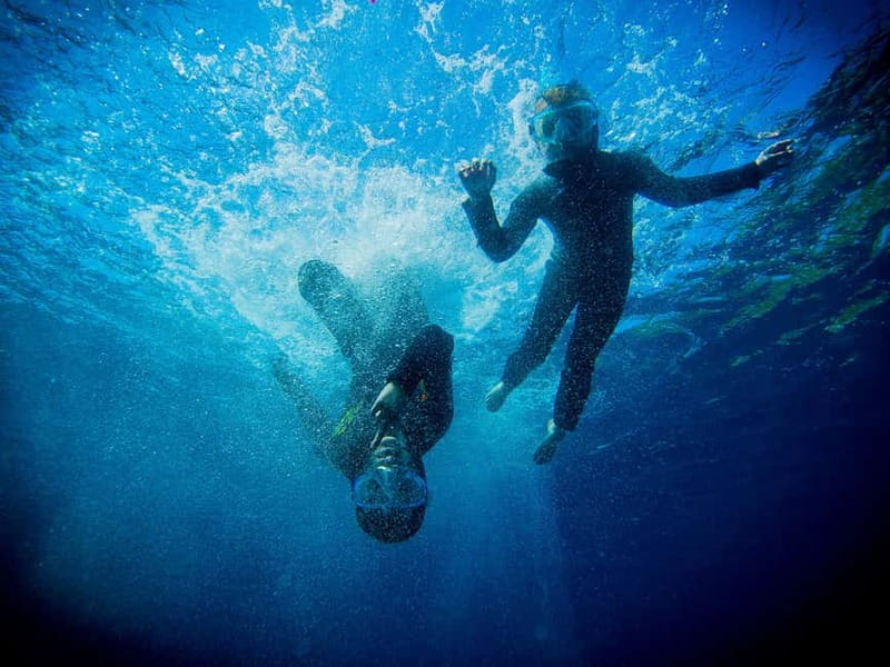 Nice: Snorkeling Speedboat Tour in Villefranche Bay - What you may see below the surface