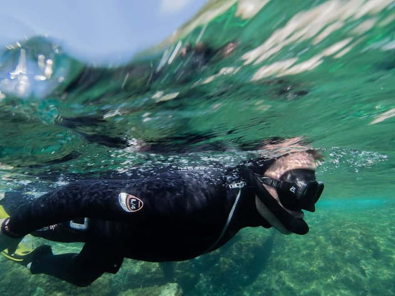 Nice: Snorkeling Speedboat Tour in Villefranche Bay - The views from Cape of Nice to Saint-Jean-Cap-Ferrat